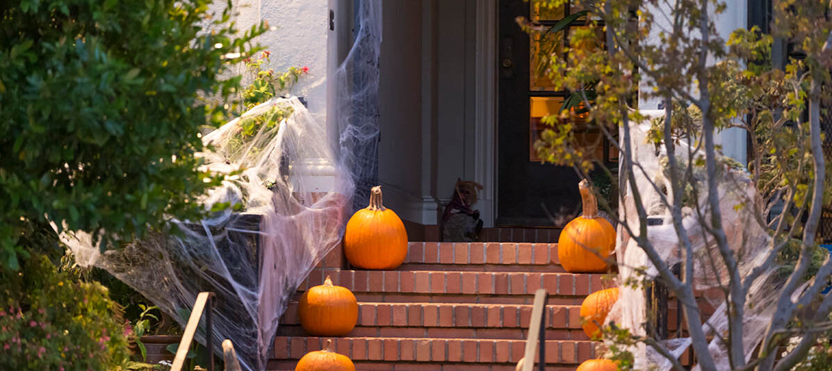 pumpkins on the stairs leading up to the front door