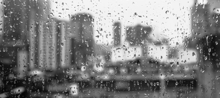 Rainy cityscape