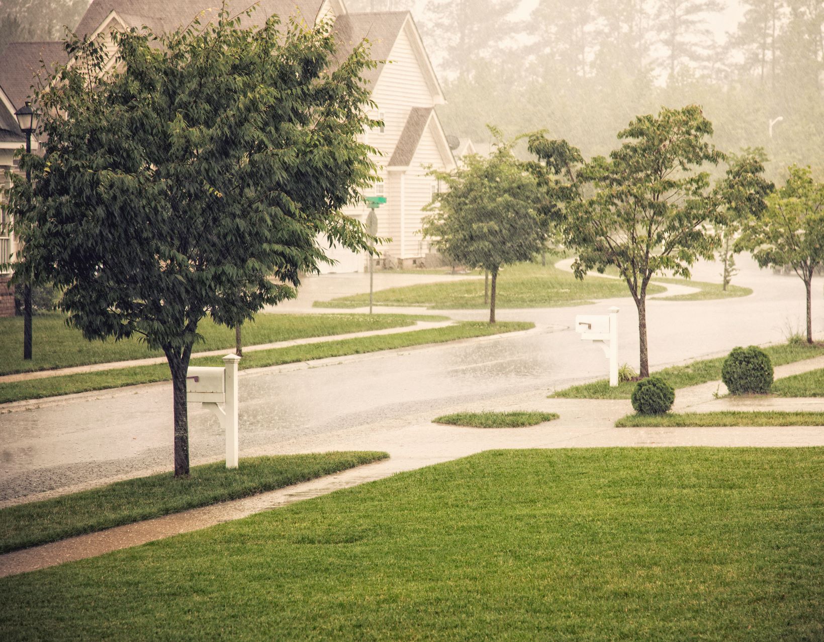 Rainy day on a quiet street